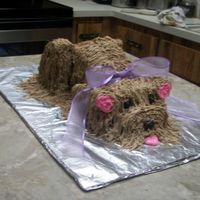 Doggy Cake ANOTHER VIEW OF MY DOGGY CAKE!!
