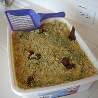 Kitty Litter Cake Yellow cake with white and chocolate mousse filling. For those that have PM'd me about how disgusting and inappropriate this cake is,...