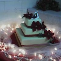 Christmas Wedding 2006 This was my 2nd wedding cake attempt. The picture was taken with my cell phone so it's kind of blurry. The flowers were fake.