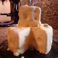 Cheese Wedge I am so proud of this cake! I'm getting better as a decorator! It was one of my only cakes to come together without any major problems...