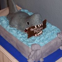 Shark Cake Shark is RKT. All other accents are MMF.