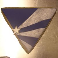 Diamond Logo NFSC covered w/ Satin Ice...each color individually cut...light colored painted w/ NuSilver Luster Dust...stars are gumpaste painted w/...