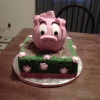 Cutie Pig 