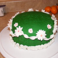 Wilton Gum Paste Finale 