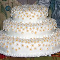 Daisy Wedding Cake I made this for my sister's wedding in October 2004. This was my second wedding cake and she wanted it to match her dress. So I made...