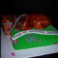 3D Horse Body was carved out of a loaf pan and the head was made with 2 mini egg pan cakes. Very difficult and tiring, but all the same rewarding....