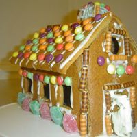 A First Gingerbread House!! My very first ginger bread house. It has light inside and everything!! But it is a bit messy! I guess I will get that right next time :)