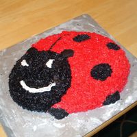 Ladybug This was made by my 9 year old with some help from her 12 year old friend. They did the entire project, even making and coloring the icing...
