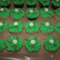 Golf Cupcakes These accompanied the golf cake in my photos...for a 75th Birthday party