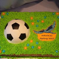 End Of Season Party Cake This is the cake I made for the end of season party for my daughter's soccer team.