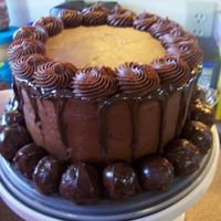 Chocolate Birthday Cake Chocolate Chocolate Chocoate! Chocolate cake with Chocolate Frosting and Chocolate Cake Balls dipped in Chocolate Ganache as a border