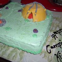 Camping Cake I made this kinda last minute for dessert on a camping trip. This is my first try "molding" fondant to decorate a cake. I think...