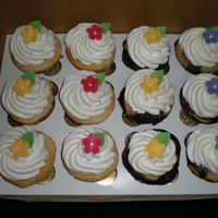 Cupcakes I made these for a cupcake tasting. 3 white with Rasp Mousse, 3 white with Rasp Preserves, 3 marble with rasp preserves and 3 marble with...