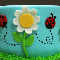 Lady Bug And Flower Cake 