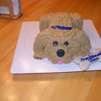 Puppy cake I made for a 2 year old's birthday.. he wanted a "goggy" and LOVED this one.