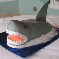 Shark This cake was so heavy that the foam board couldn't support it, causing the butter cream to crack