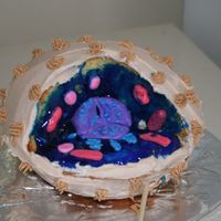 3D Animal Cell This is a Mama being proud. My 11 yr old son made this, with small minor help from me, for a science project. Unfortunately it was not firm...