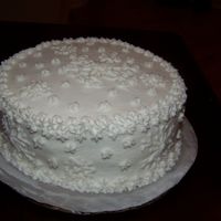 Snowflake For a winter wedding -- This will be the top tier of the wedding cake and I did a trial run of the top tier for her bridal shower.