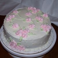 My First Cake Ever! I have been to the first class of Wilton but I don't make my first cake until next week. I've practiced on the board some -- but...