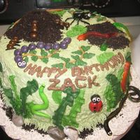 Zack's 4Th Birthday Cake I made this cake for my friend's son who loves bugs. (Yuck!) I'm sure he's going to love it! (Especially the gummy worms...