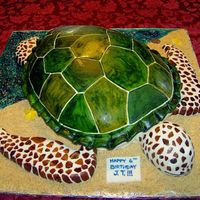 Sea Turtle (My Version...) :) This was for my Godson's 6th birthday. He requested a sea turtle themed cake because he had done a project on them for school. This...
