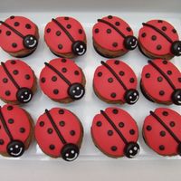Ladybug Cupcakes chocolate cupcakes, with chocolate buttercream, topped with fondant. I used the ladybug cookie cutter to cut the fondant.