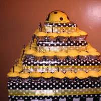 Polkadot Ladybug Bday Bash For my (creative) Sister's 25th Bday bash. She is in love with Ladybugs and the theme was polkadots in yellow black and white. Thank...