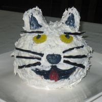 Cat Dog This was for my son's 1st b'day. It was supposed to be a cat, but we thought it looked like a cross between a cat and a dog. It...