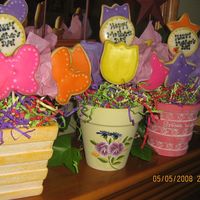 Cookies! Cookies! Cookies! NFSC cookies with royal icing!!