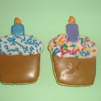 Birthday Cookies NFSC with royal icing!