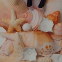 Hand Painted Sea Shells gumpaste shells, hand painted with wilton food coloring. too much fun.