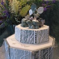 Engagement Cake With Turtles My Niece and fiance are reptile and amphibian owners and I wanted to incorporate this into their cake. A very big thank you to "dabear...
