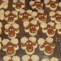 Reindeer Cookies NFSC and Antonia's icing. I saw a few variations of these in the gallery yesterday and thought they would be perfect for the kids....
