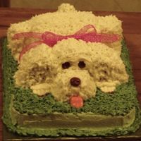 Josie's Puppy He looks droopy because the icing was sliding like crazy..it wouldn't crust so I could smooth it. It was super smooshy but I just...