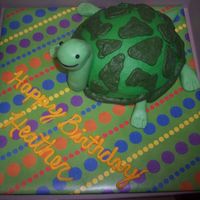 Turtle Turtle cake for a co-worker's birthday. My first time working with candy clay which was really fun and easy!