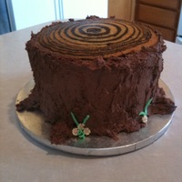 Tree Ring Cake zebra cake for the tree rings, chocolate wasc for the trunk.