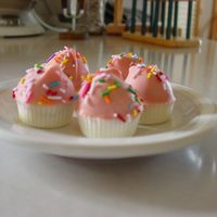 Cake Truffles Carrot cake cake balls. I used a candy mold for the bottom part.