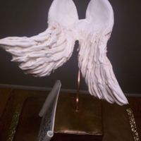 Angel Wings Another view of wings.