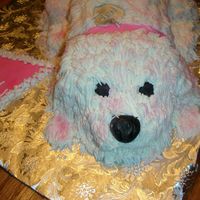 The Little Puppy Dog's Face. This is the face close-up of the vet's dog.