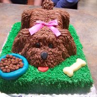 3D Puppy Dog first 3D cake I have made. It was for a little girl's birthday!