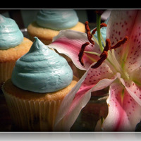 Teal Cupcakes Madagascar Vanilla Cupcakes.
