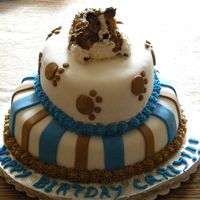 Dscf1555.jpg For a young friend who just got a Bernese Mountain dog. Two chocolate layers, both torted with cream cheese fluff raspberry filling....