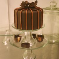 Choc W Bronze Choc. and bronze stripes