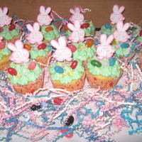 Easter Bunny Cupcakes Made these for my daughters class party. TFL!