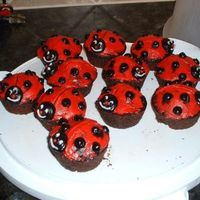 Little Ladybugs 
