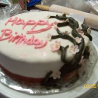 Sarah's Birthday Cake An apple blossom cake for my cousin. I don't really like the way the branches came out.