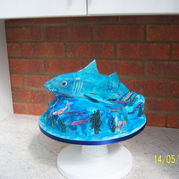 Shark Birthday Cake My friend's son loves sharks, all vanilla sponge cake with gumpaste fins and fish.