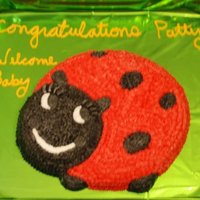 Lady Bug Baby Shower Cake 