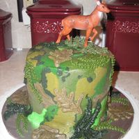 Craig's Camo Cake camoflage cake i did for my brother. i didn't have a clue what i was doing, so i just mixed up a bunch of b/c in different shades of...