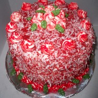 Red Velvet Made a red velvet cake for a baking contest at work. I won. The prize was a $300 set of cuisanart pots and pans. Well worth the time and...